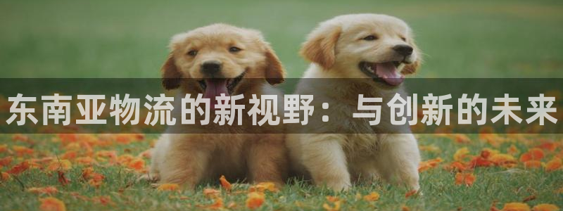 28圈注册网站链接是什么：东南亚物流的新视野：与创新的未来