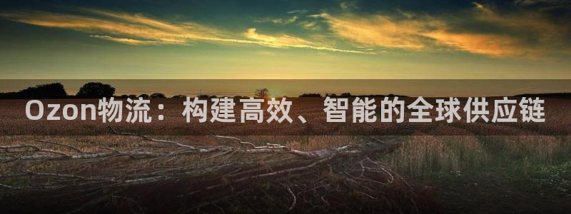 28圈模拟器在线使用