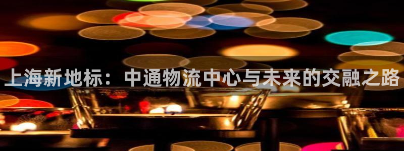 28圈初始资金密码是什么：上海新地标：中通物流中心与未来的交