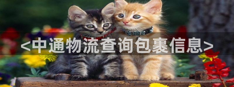 自行车28圈是什么意思