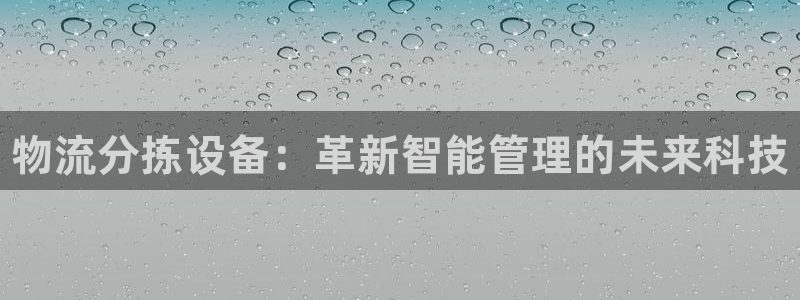 28圈官方版正版：物流分拣设备：革新