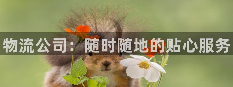 28圈软件有什么用