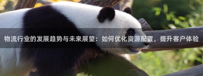 28圈旗下：物流行业的发展趋势与未来