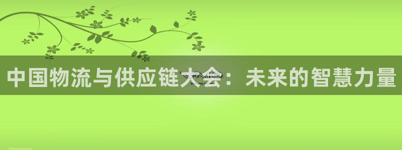 28圈黑不黑：中国物流与供应链大会：