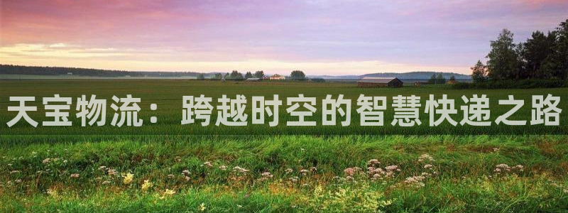 28圈能退款吗：天宝物流：跨越时空的