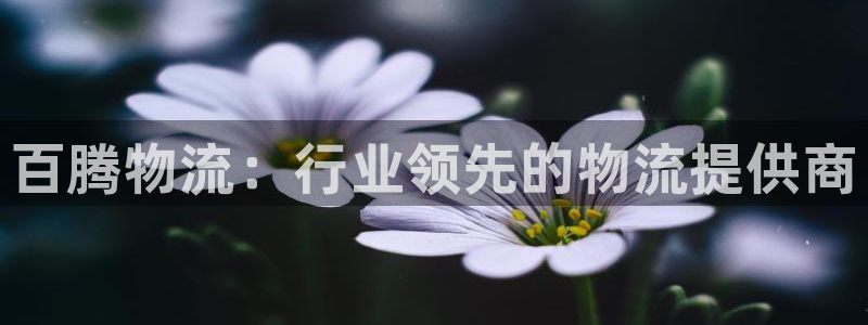 28圈能退款吗：百腾物流：行业领先的