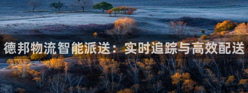 28圈链接多少：德邦物流智能派送：实