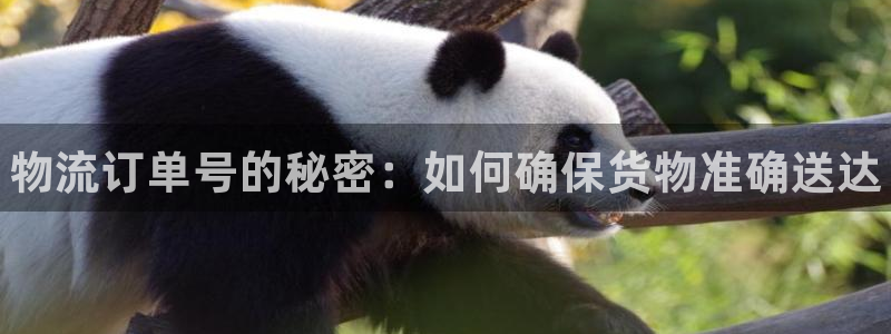28圈游戏链接：物流订单号的秘密：如