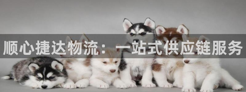 28圈加拿大是什么：顺心捷达物流：一站式供应链服务