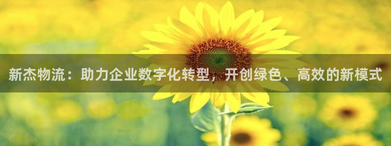 28圈注册链接入口