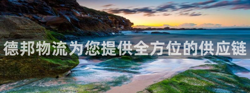 28圈官网平台：德邦物流为您提供全方位的供应链