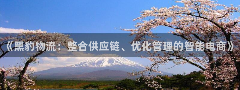 28圈登录流程：《黑豹物流：整合供应