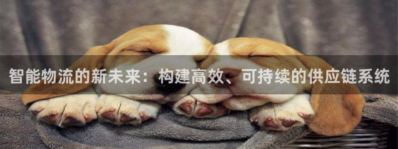 28圈官网开奖结果预测查询