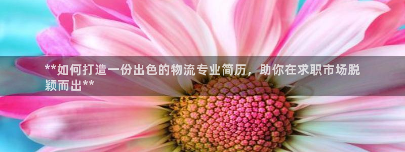 28圈如何看计划:**如何打造一份出