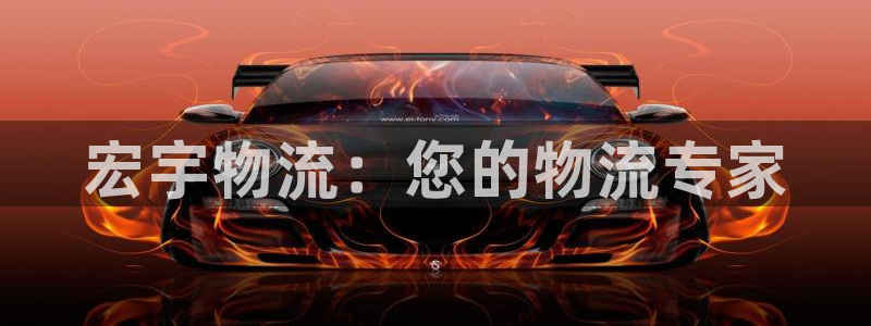 28圈注册:宏宇物流:您的物流专家