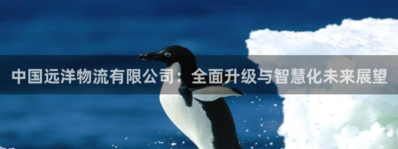 28圈充值为什么充不了