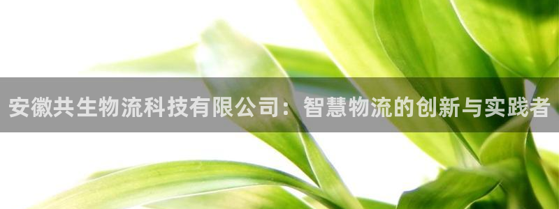 28圈.ccmapp：安徽共生物流科
