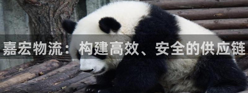28圈官方平台：嘉宏物流：构建高效、