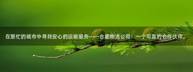 28圈新用户怎么注册：在繁忙的城市中