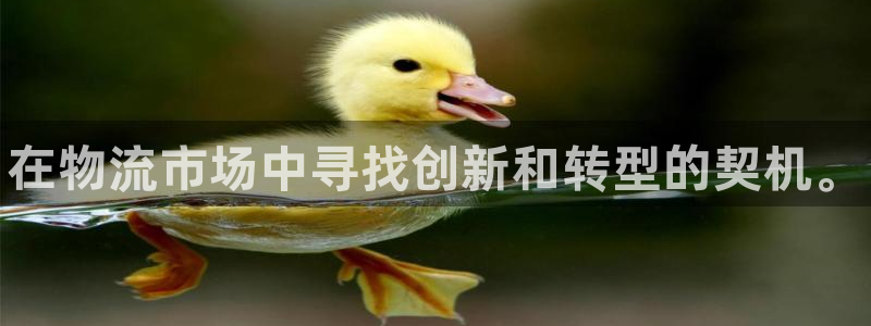 28圈注册网站多少：在物流市场中寻找