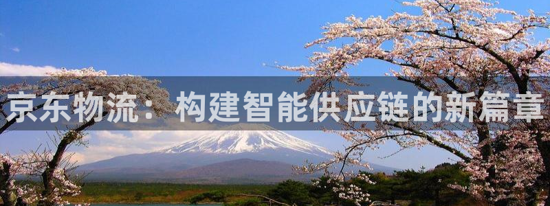 28圈.ccm南宫：京东物流：构建智