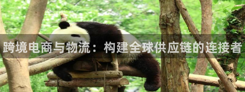 28圈合法吗：跨境电商与物流：构建全