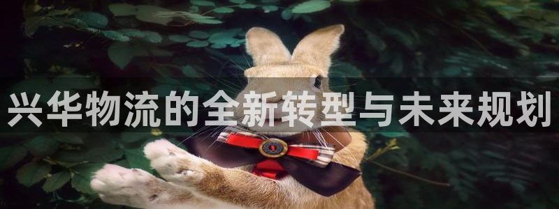 28圈免费充钱：兴华物流的全新转型与