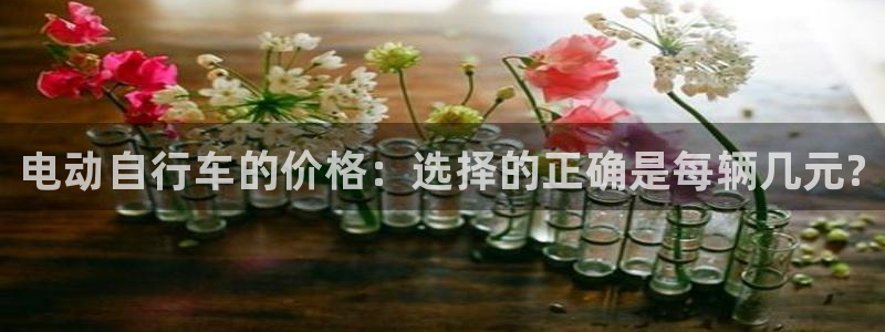 28圈加拿大是什么意思：电动自行车的