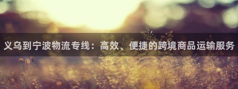 28圈登录用户名登录不上：义乌到宁波