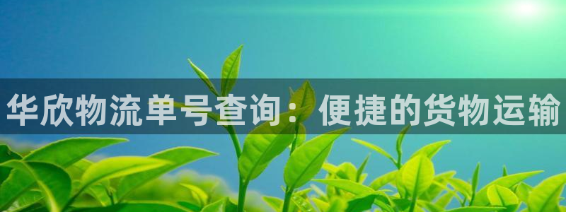 28圈注册登录：华欣物流单号查询：便捷的货物运输